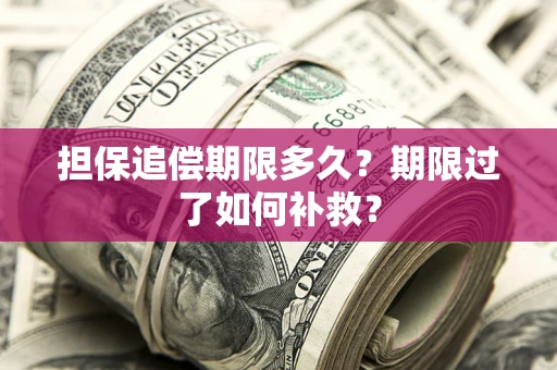 济南担保追偿期限多久？期限过了如何补救？